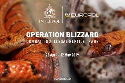 INTERPOL: Targeting the criminals and networks behind this illegal global trade, Operation Blizzard (12 April – 22 May) involved agencies from 22 countries and resulted in seizures ranging from live animals to high-end fashion products.